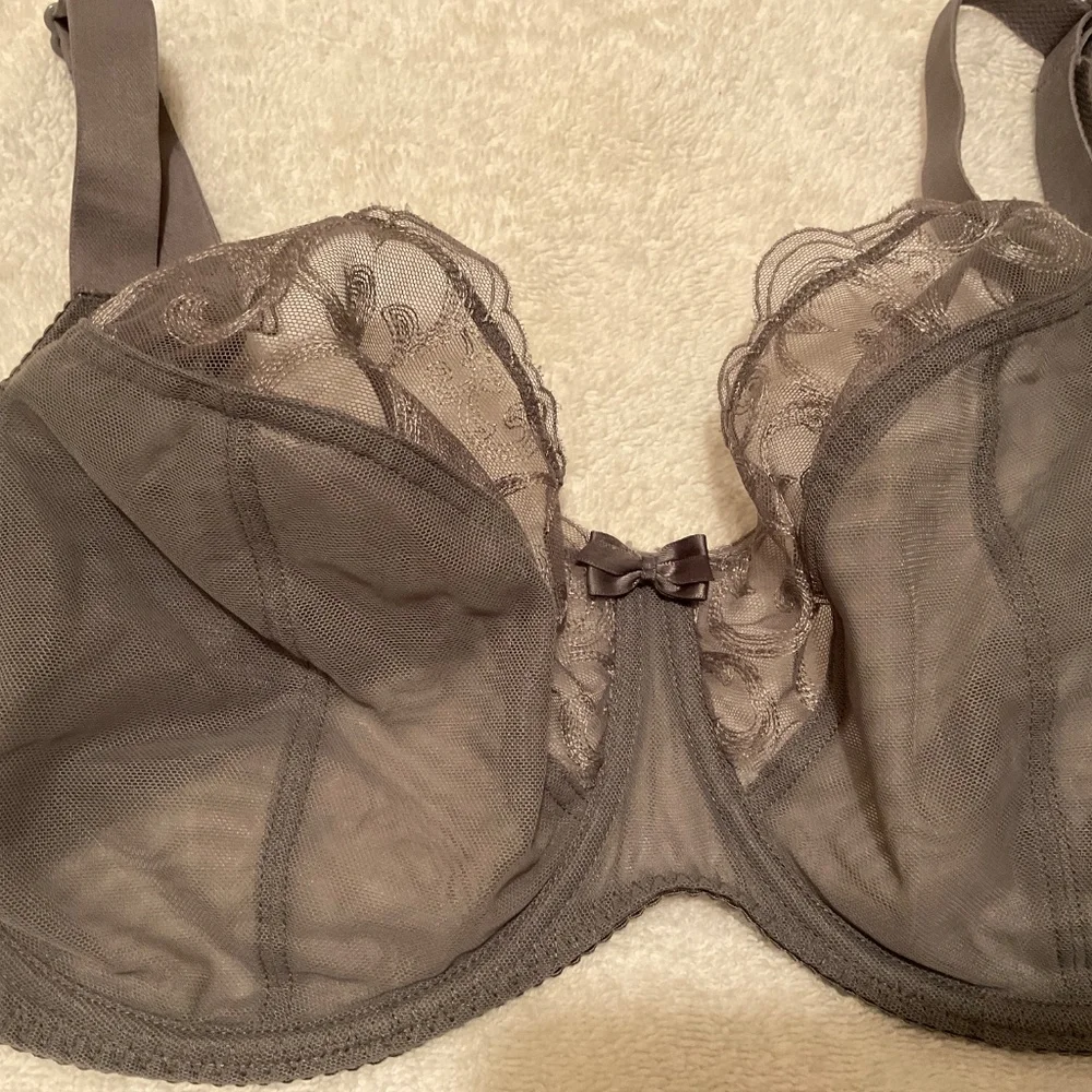 Elegant Sheer Lace Bra in Gray - Picture 2 of 6